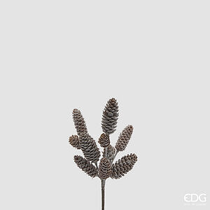 Degë Pishe E Mbuluar Me Borë