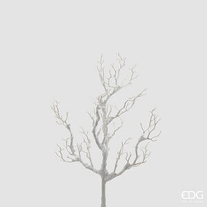 Degë Akacieje E Mbuluar Me Borë