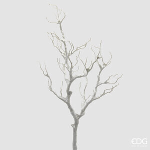 Degë Akacieje E Mbuluar Me Borë